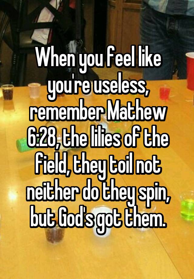 When you feel like you're useless, remember Mathew 6:28, the lilies of the field, they toil not neither do they spin, but God's got them.