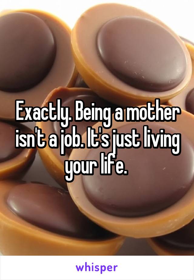 Exactly. Being a mother isn't a job. It's just living your life. 