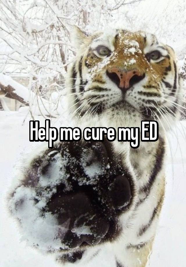Help me cure my ED