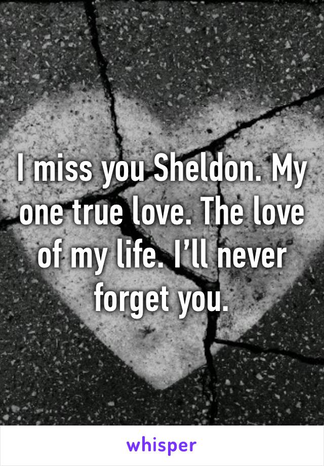 I miss you Sheldon. My one true love. The love of my life. I’ll never forget you.