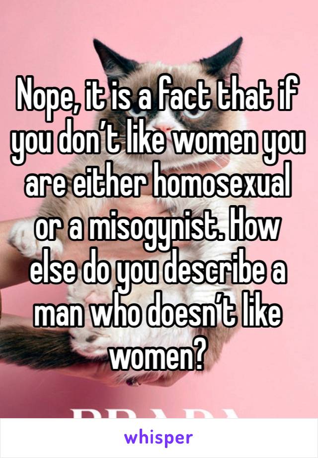 Nope, it is a fact that if you don’t like women you are either homosexual or a misogynist. How else do you describe a man who doesn’t like women?