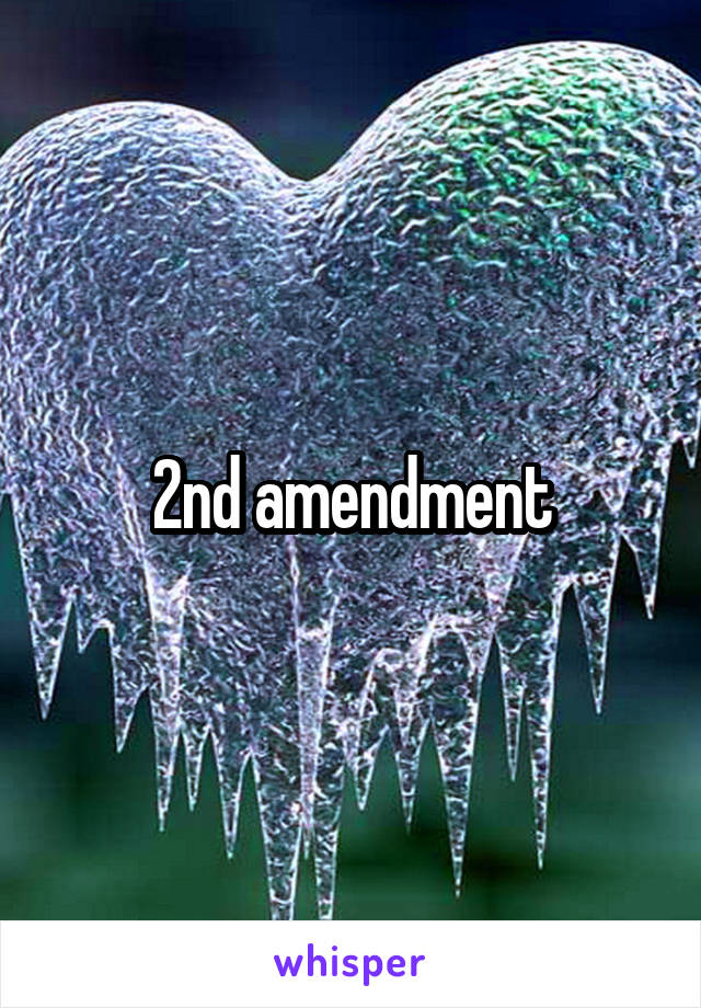 2nd amendment