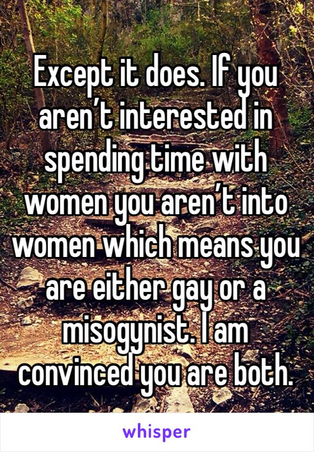 Except it does. If you aren’t interested in spending time with women you aren’t into women which means you are either gay or a misogynist. I am convinced you are both.