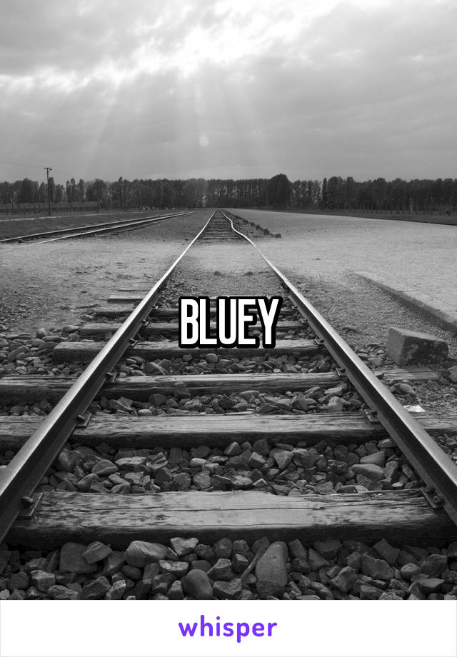 BLUEY