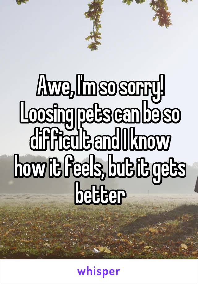 Awe, I'm so sorry! Loosing pets can be so difficult and I know how it feels, but it gets better