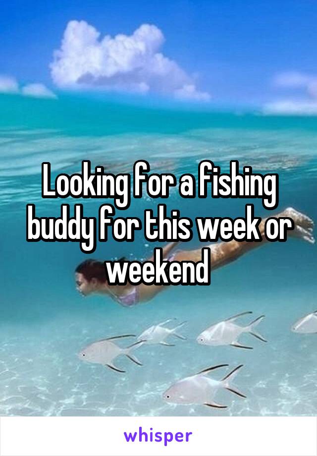 Looking for a fishing buddy for this week or weekend 