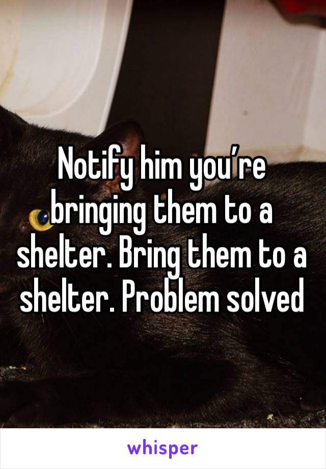 Notify him you’re bringing them to a shelter. Bring them to a shelter. Problem solved