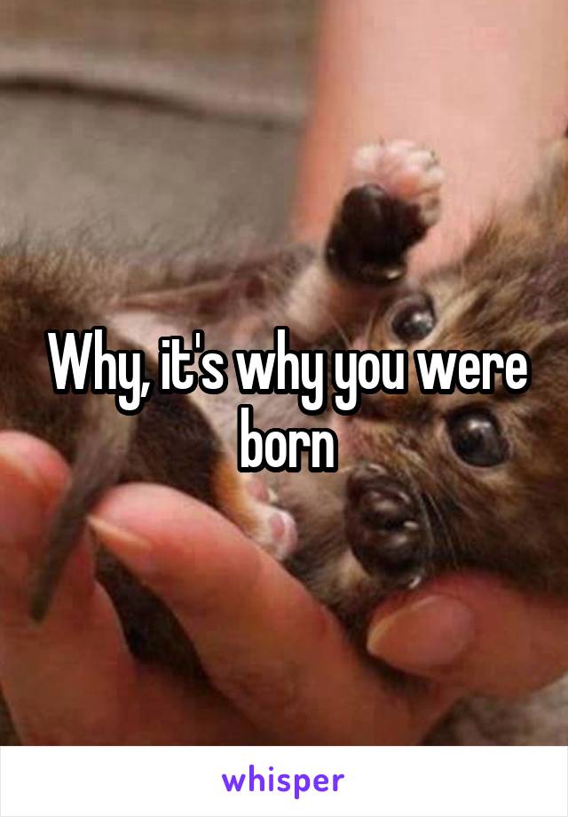 Why, it's why you were born