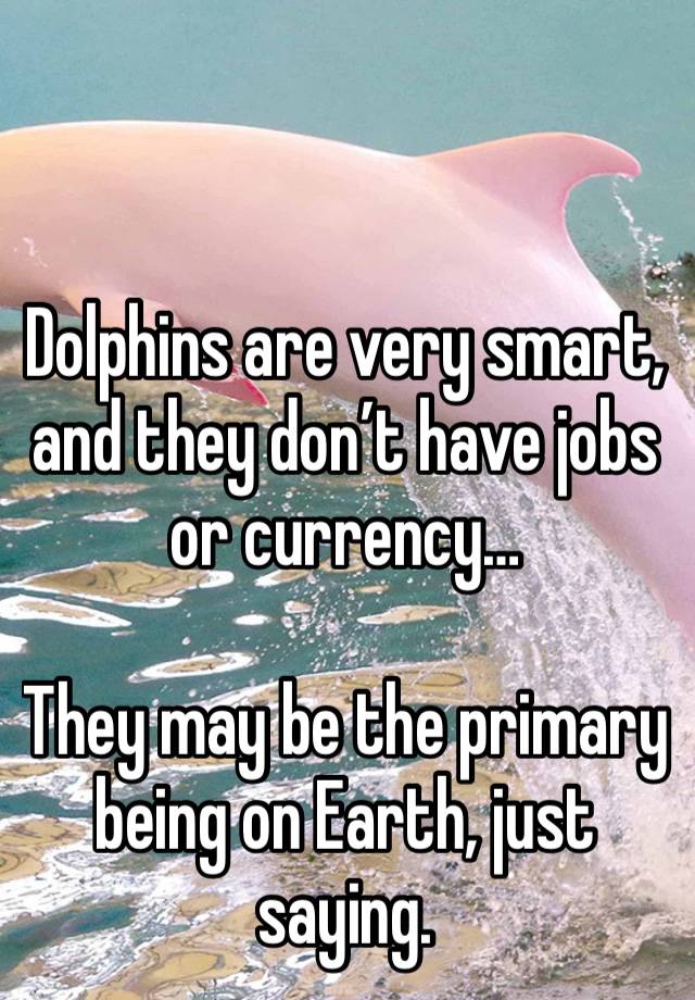 Dolphins are very smart, and they don’t have jobs or currency…

They may be the primary being on Earth, just saying.