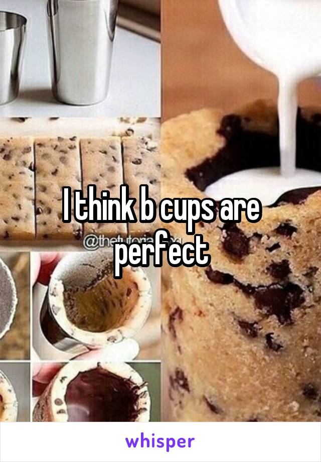 I think b cups are perfect