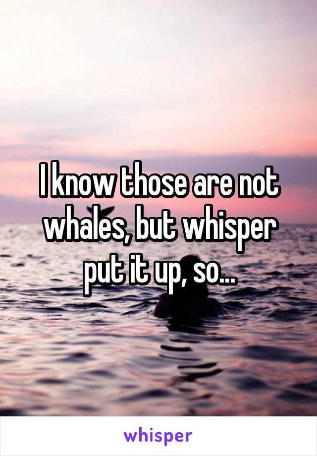 I know those are not whales, but whisper put it up, so...