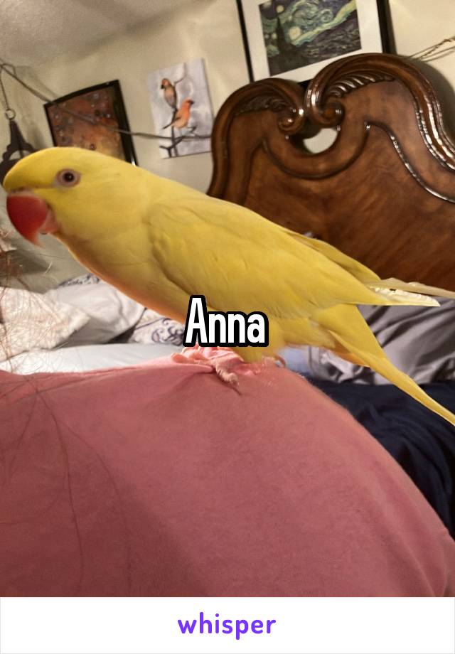 Anna 