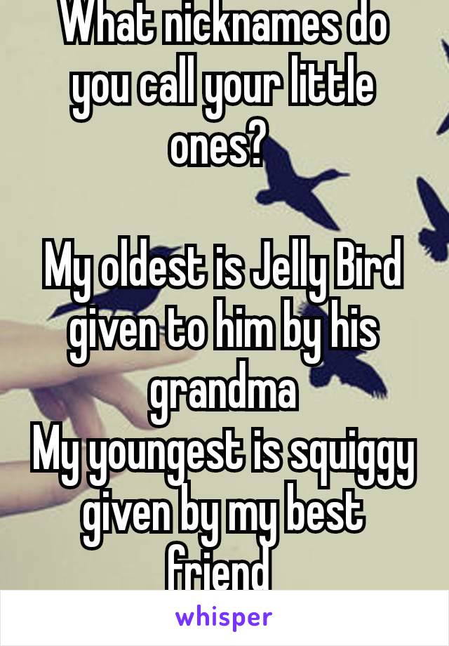 What nicknames do you call your little ones? 

My oldest is Jelly Bird given to him by his grandma
My youngest is squiggy given by my best friend 
🥰