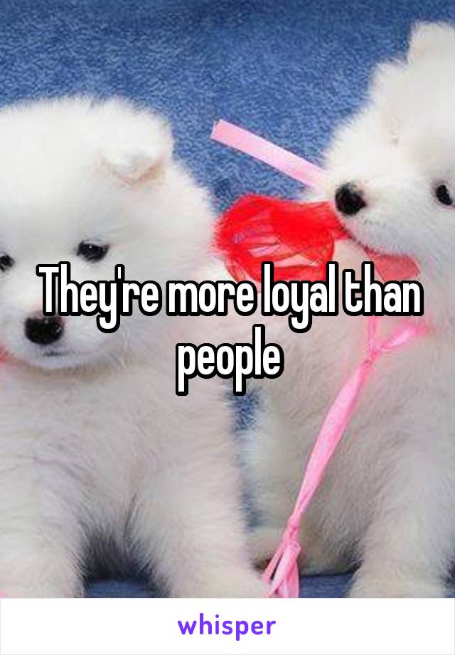 They're more loyal than people