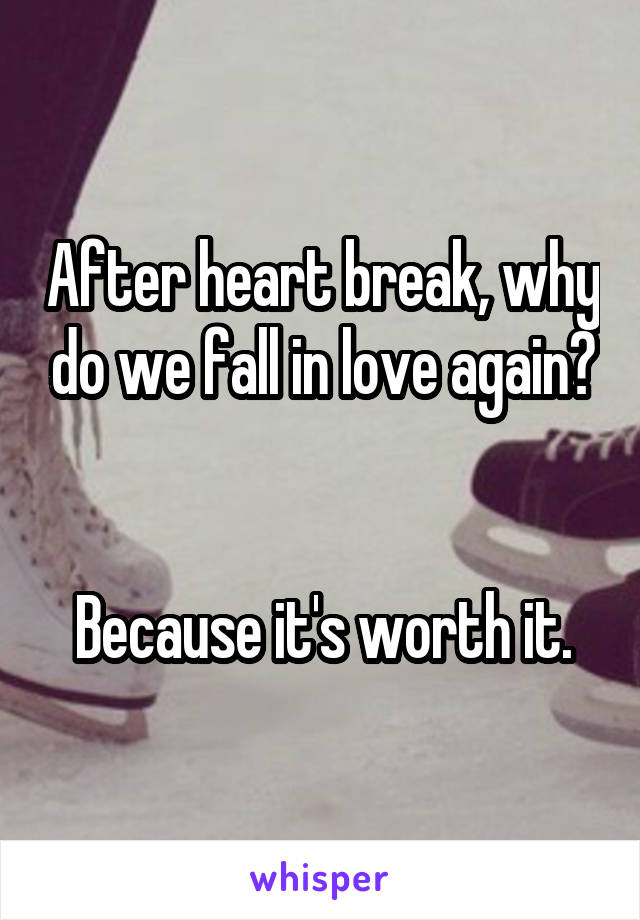 After heart break, why do we fall in love again?


Because it's worth it.