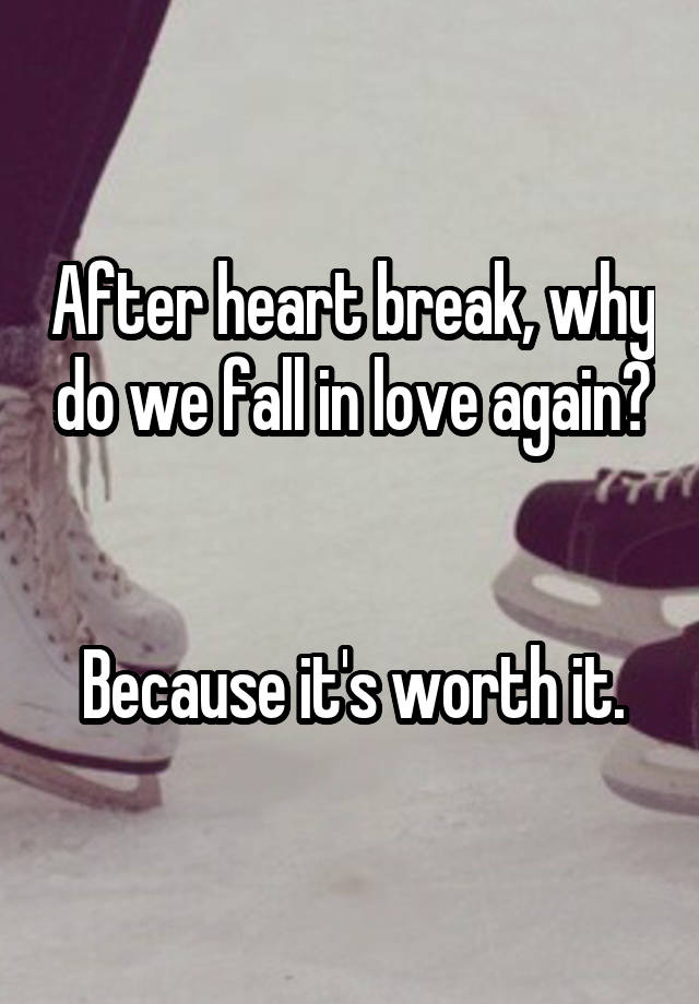 After heart break, why do we fall in love again?


Because it's worth it.