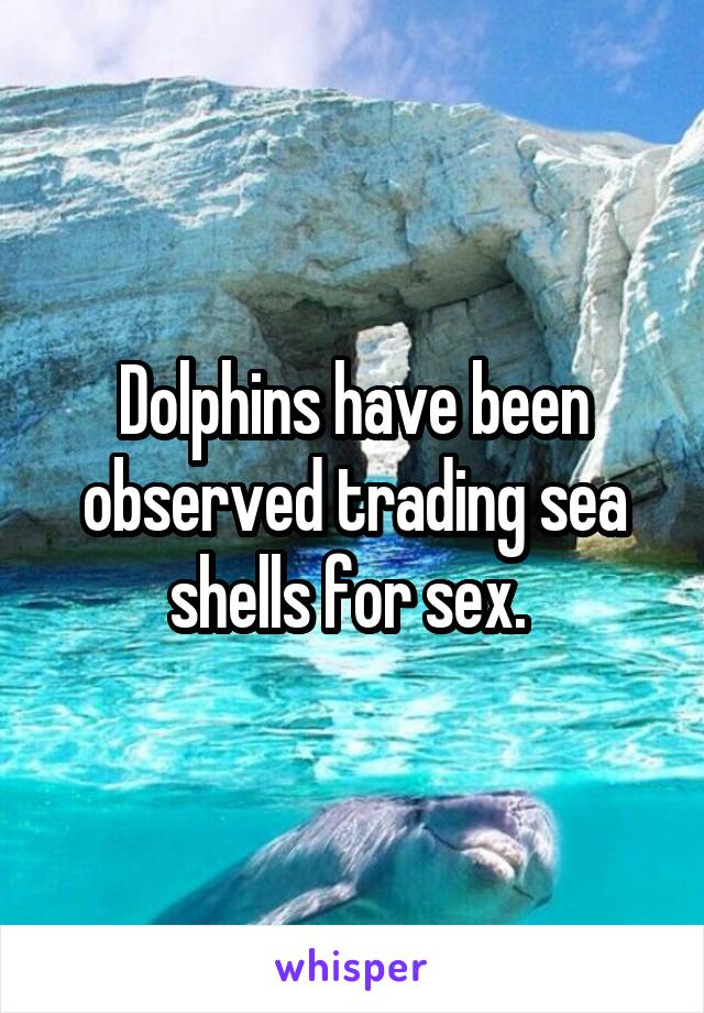 Dolphins have been observed trading sea shells for sex. 