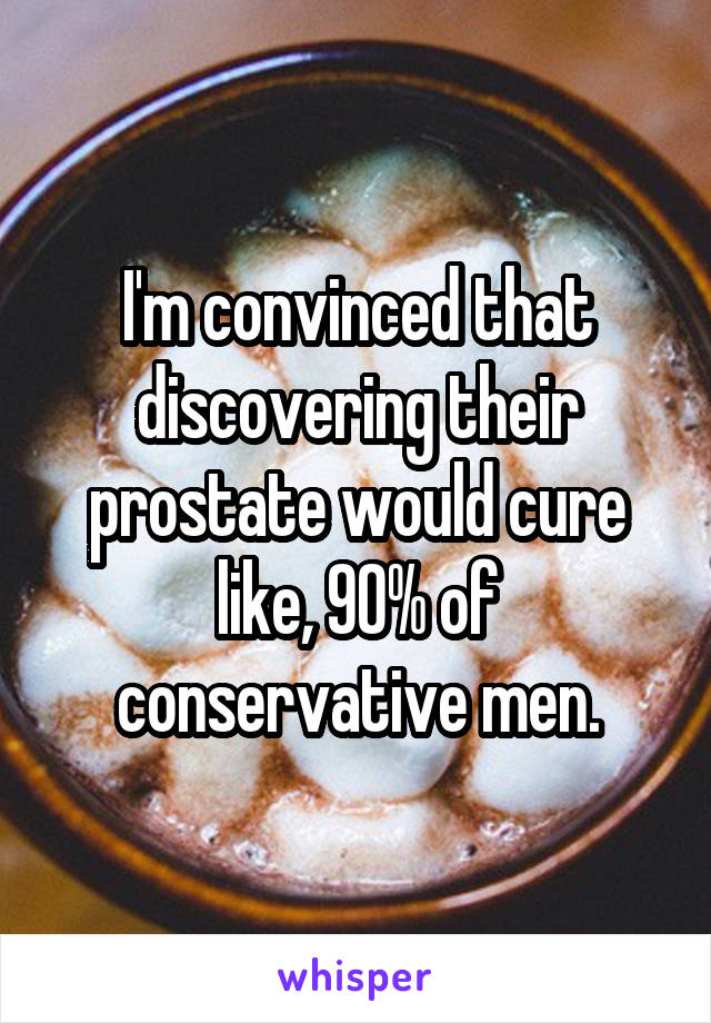 I'm convinced that discovering their prostate would cure like, 90% of conservative men.