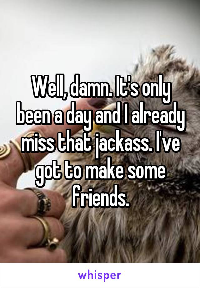 Well, damn. It's only been a day and I already miss that jackass. I've got to make some friends.