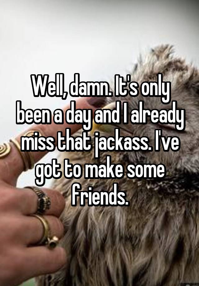 Well, damn. It's only been a day and I already miss that jackass. I've got to make some friends.