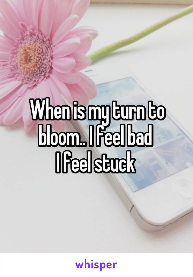 When is my turn to bloom.. I feel bad 
I feel stuck 