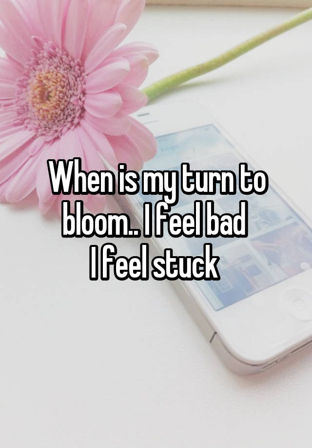 When is my turn to bloom.. I feel bad 
I feel stuck 