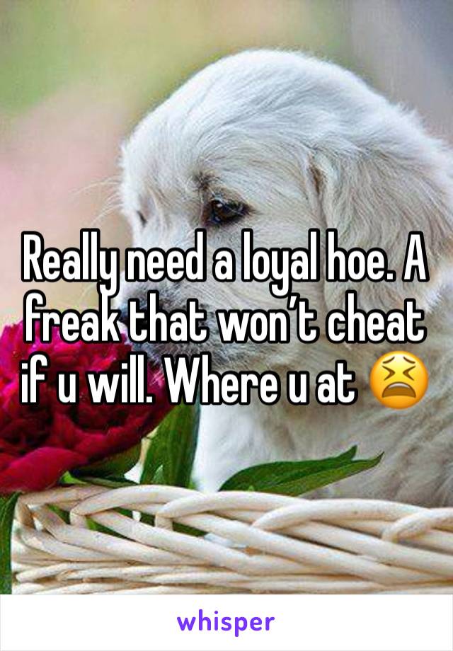 Really need a loyal hoe. A freak that won’t cheat if u will. Where u at 😫