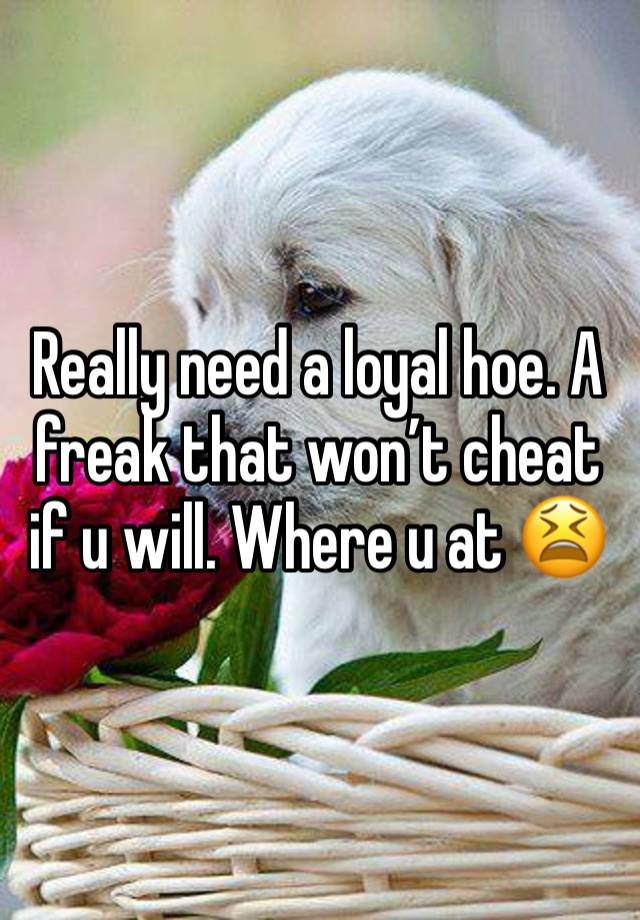 Really need a loyal hoe. A freak that won’t cheat if u will. Where u at 😫