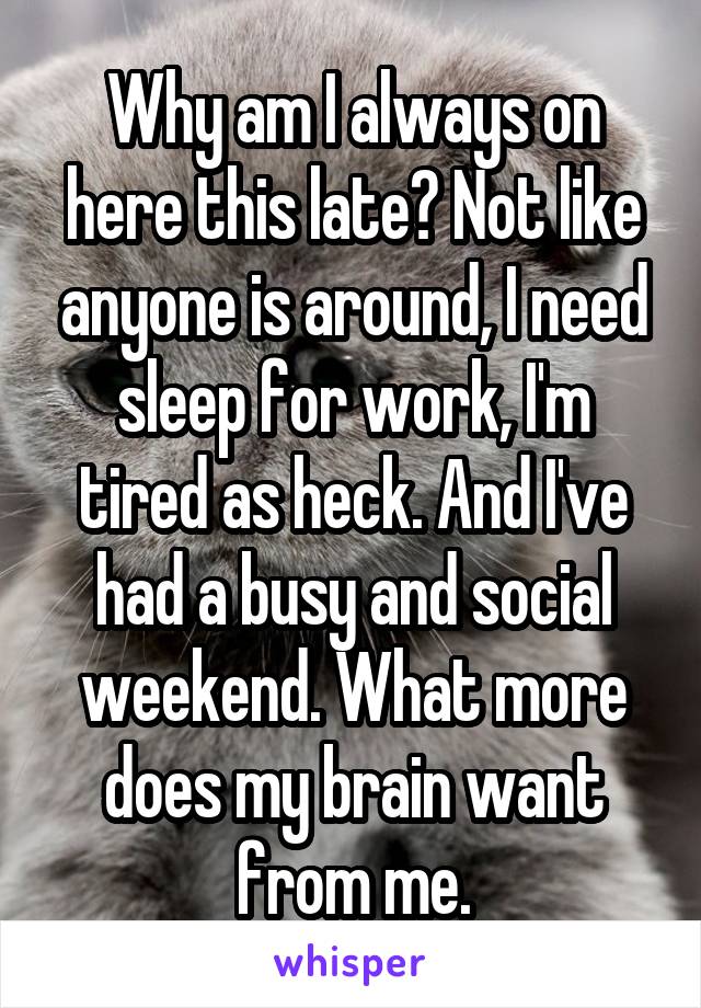 Why am I always on here this late? Not like anyone is around, I need sleep for work, I'm tired as heck. And I've had a busy and social weekend. What more does my brain want from me.