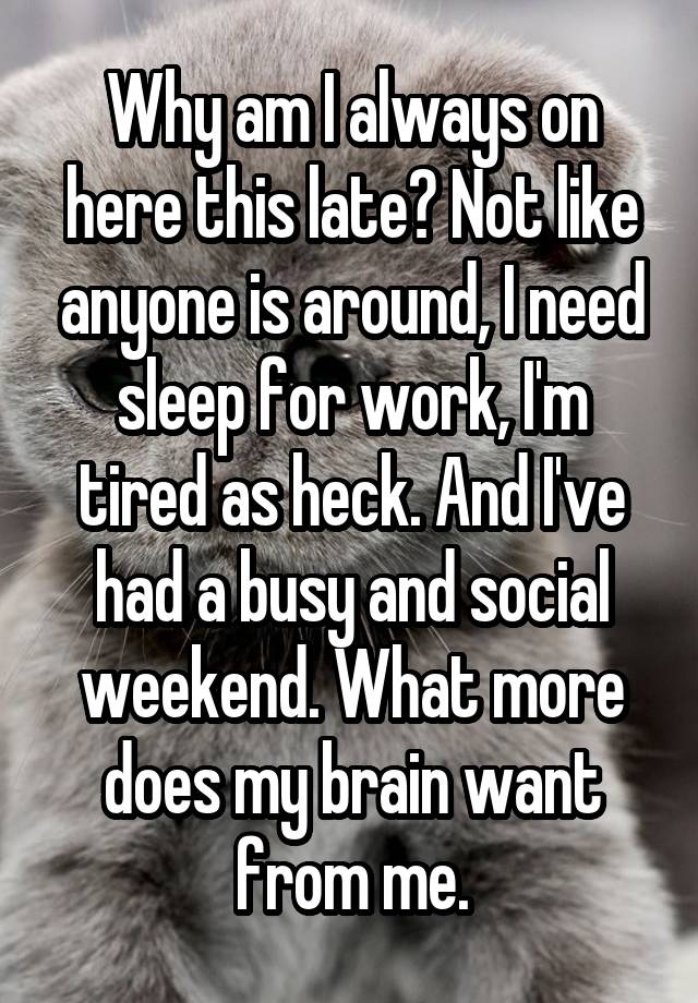 Why am I always on here this late? Not like anyone is around, I need sleep for work, I'm tired as heck. And I've had a busy and social weekend. What more does my brain want from me.