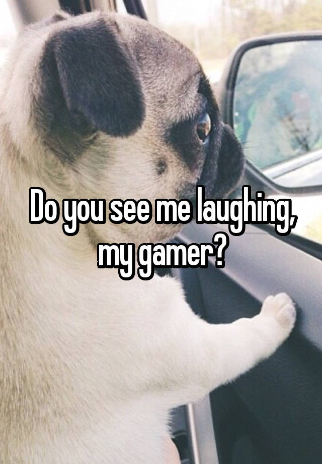 Do you see me laughing, my gamer?