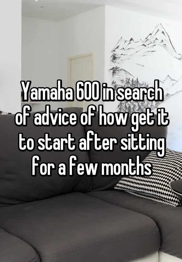 Yamaha 600 in search of advice of how get it to start after sitting for a few months