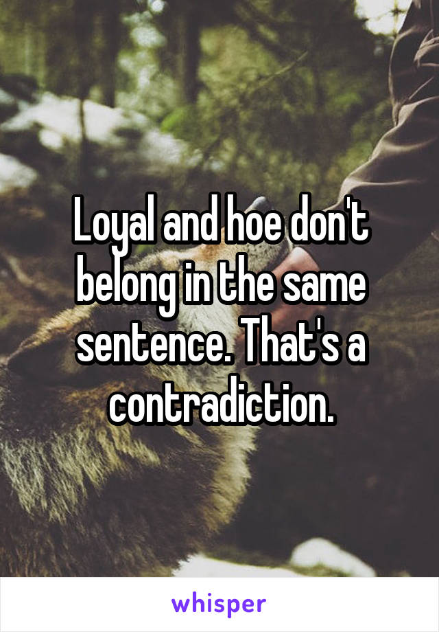 Loyal and hoe don't belong in the same sentence. That's a contradiction.