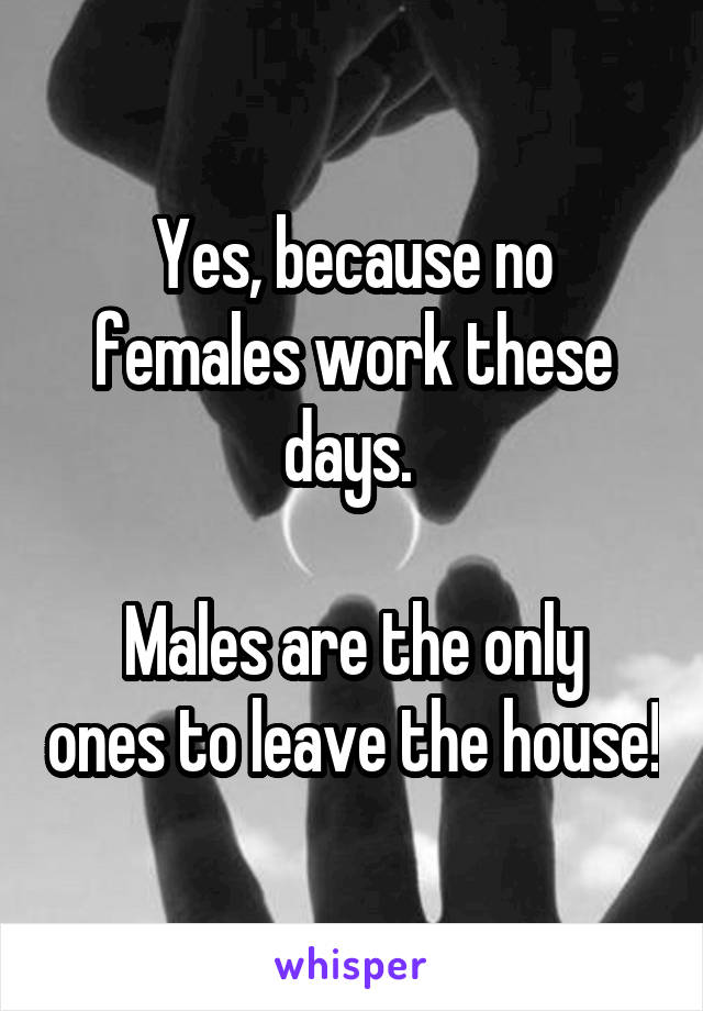 Yes, because no females work these days. 

Males are the only ones to leave the house!