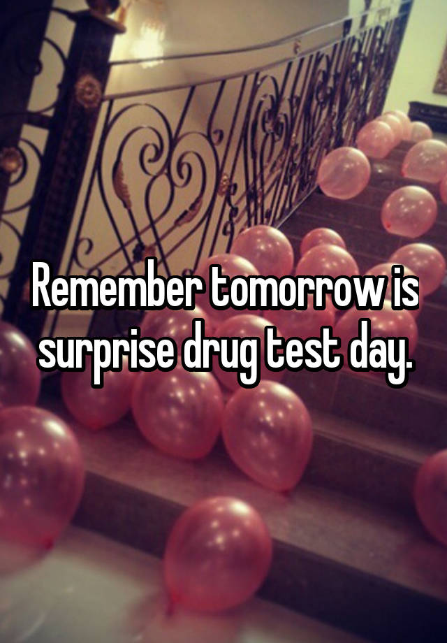 Remember tomorrow is surprise drug test day.