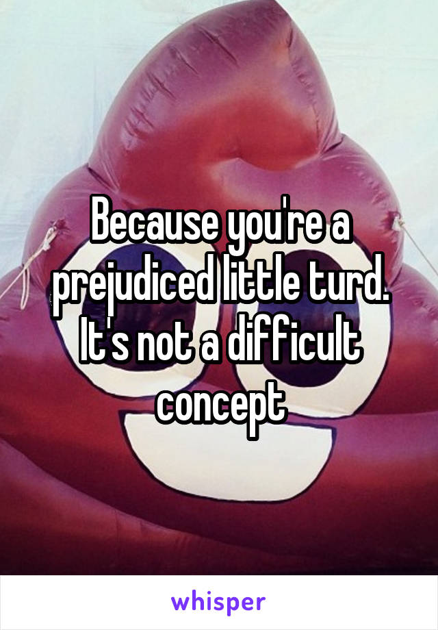 Because you're a prejudiced little turd. It's not a difficult concept