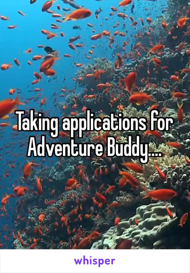 Taking applications for Adventure Buddy….