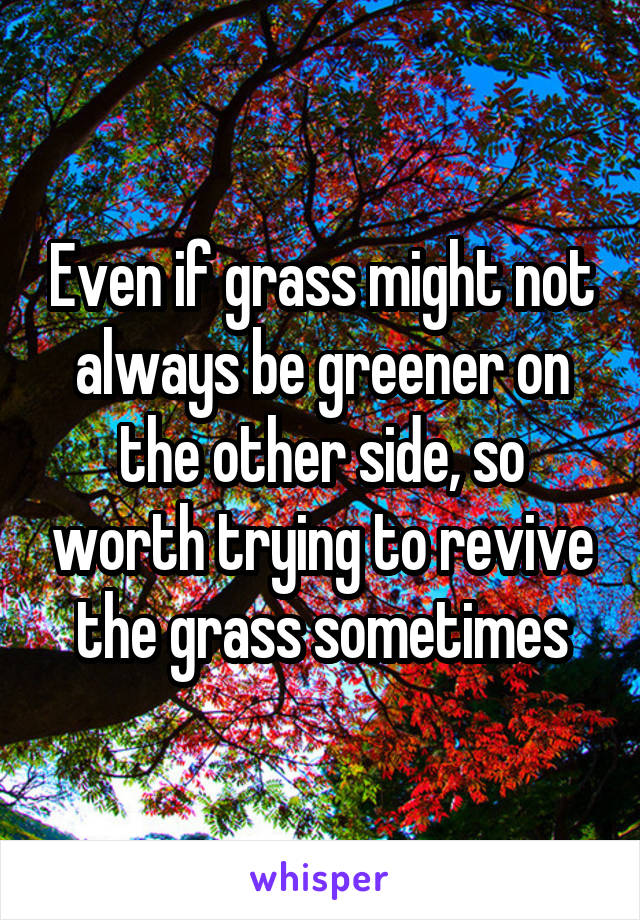 Even if grass might not always be greener on the other side, so worth trying to revive the grass sometimes