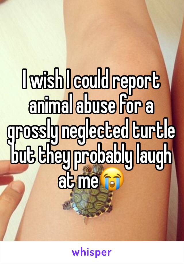 I wish I could report animal abuse for a grossly neglected turtle but they probably laugh at me😭