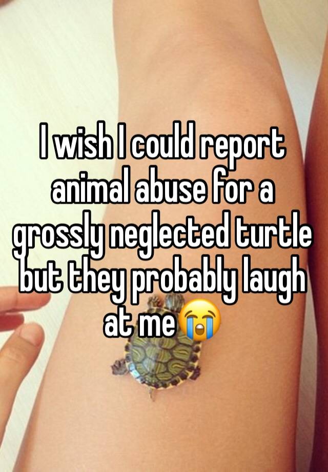 I wish I could report animal abuse for a grossly neglected turtle but they probably laugh at me😭