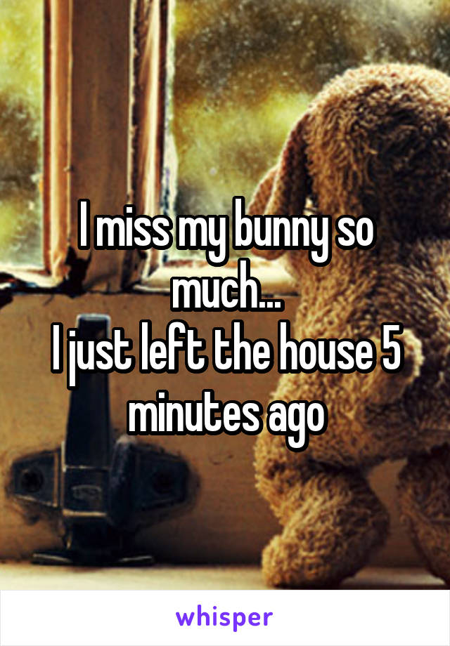 I miss my bunny so much...
I just left the house 5 minutes ago