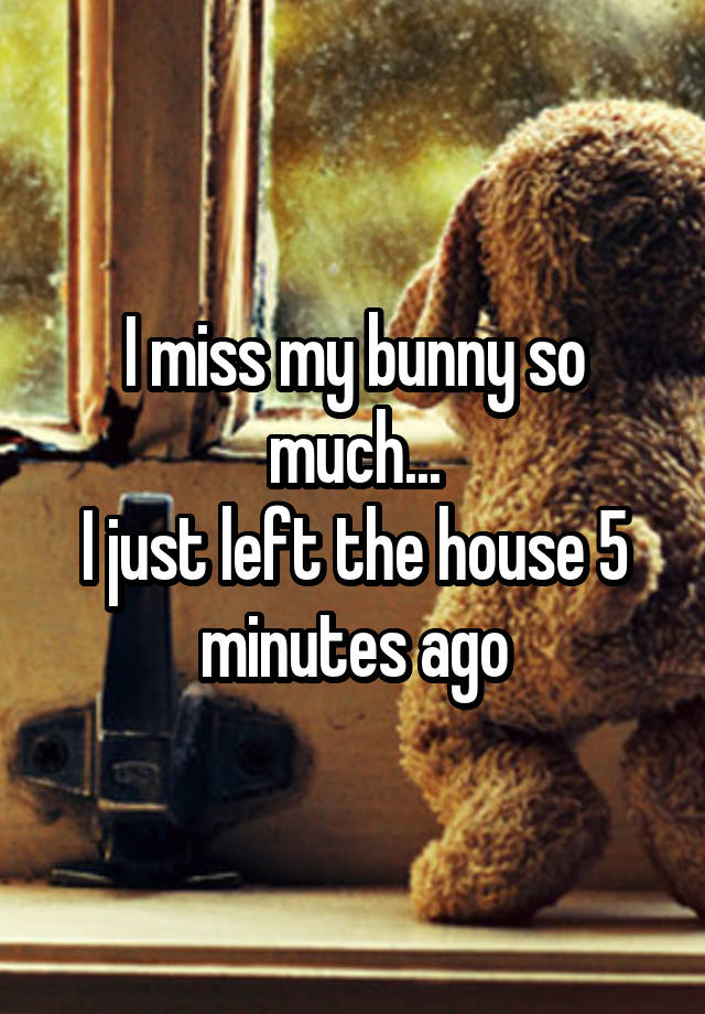 I miss my bunny so much...
I just left the house 5 minutes ago