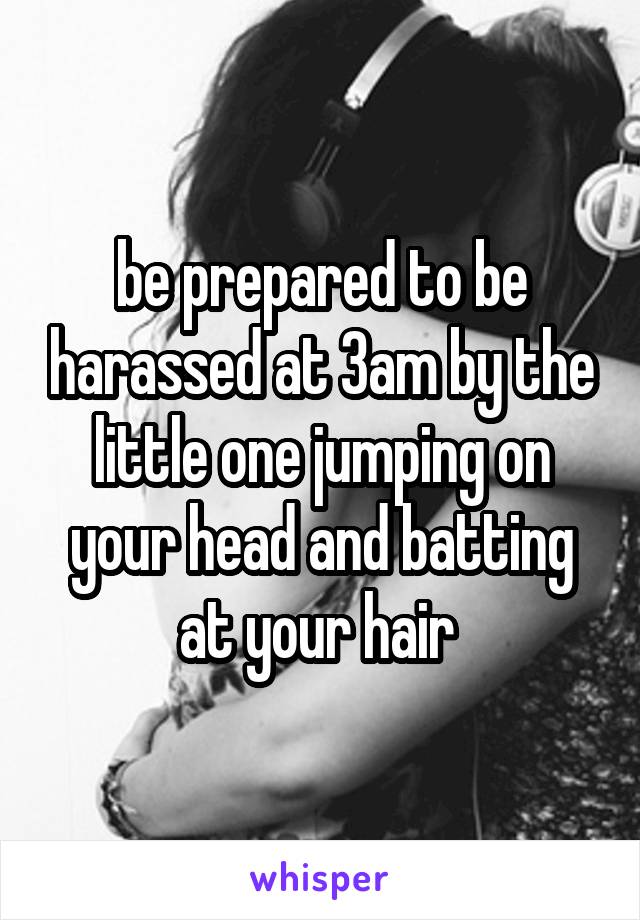 be prepared to be harassed at 3am by the little one jumping on your head and batting at your hair 