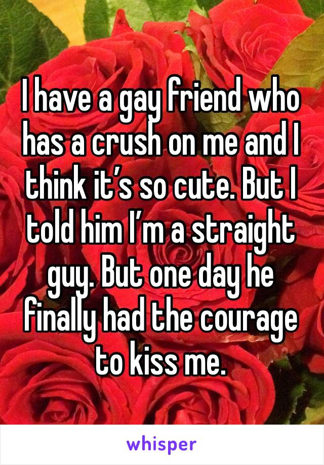 I have a gay friend who has a crush on me and I think it’s so cute. But I told him I’m a straight guy. But one day he finally had the courage to kiss me.