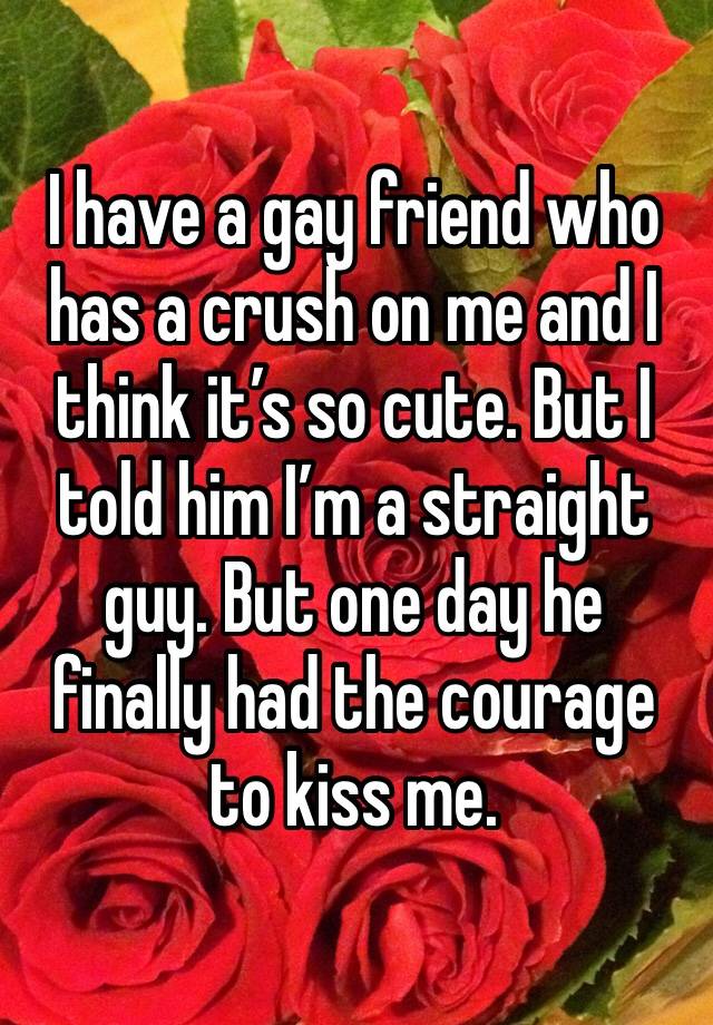 I have a gay friend who has a crush on me and I think it’s so cute. But I told him I’m a straight guy. But one day he finally had the courage to kiss me.