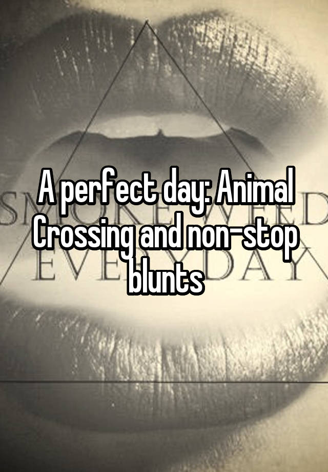 A perfect day: Animal Crossing and non-stop blunts