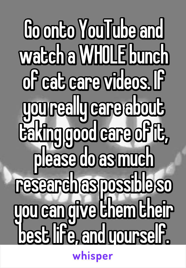 Go onto YouTube and watch a WHOLE bunch of cat care videos. If you really care about taking good care of it, please do as much research as possible so you can give them their best life, and yourself.