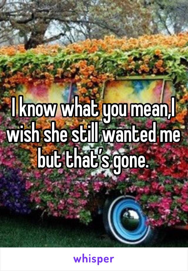 I know what you mean,I wish she still wanted me but that’s gone. 