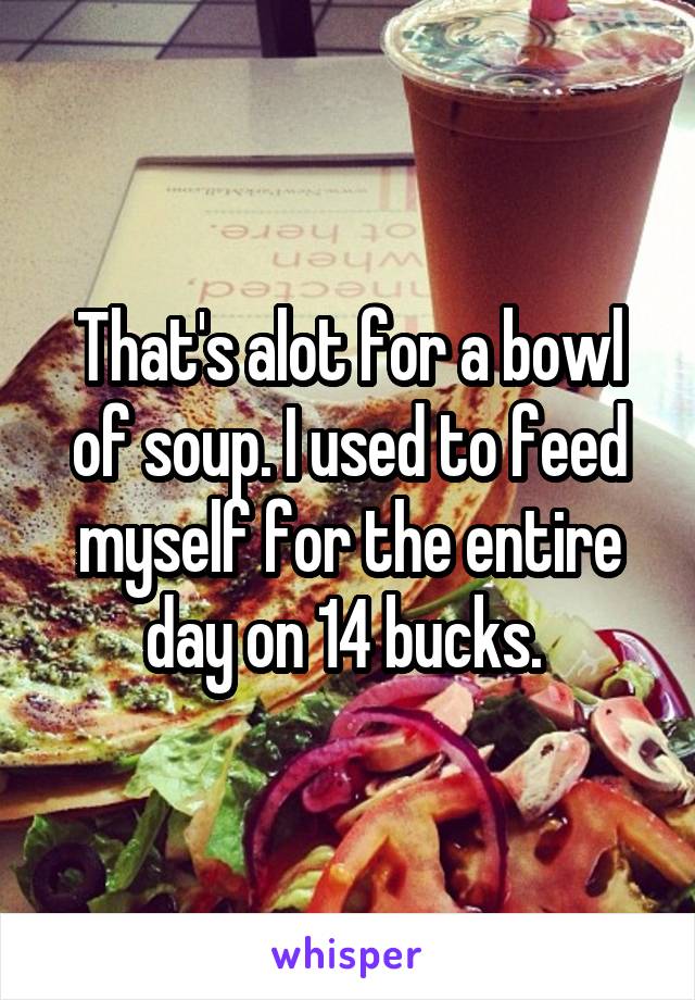 That's alot for a bowl of soup. I used to feed myself for the entire day on 14 bucks. 