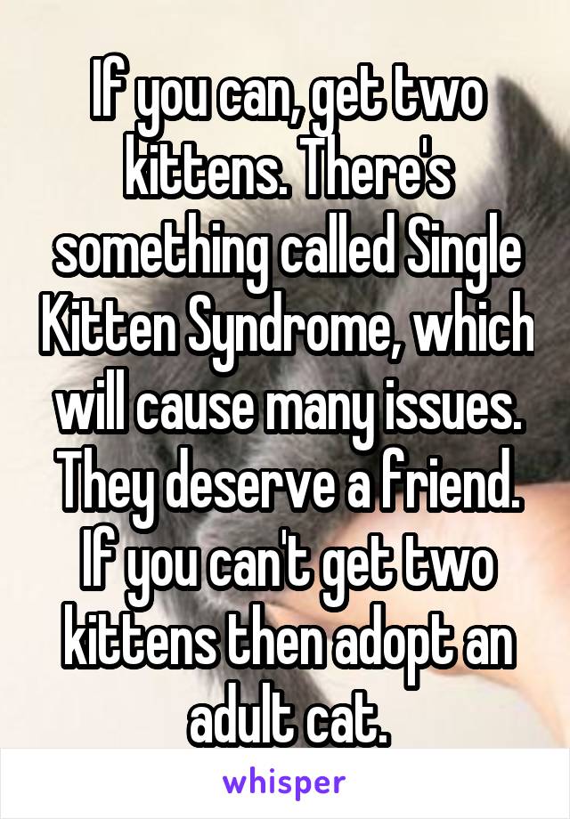 If you can, get two kittens. There's something called Single Kitten Syndrome, which will cause many issues. They deserve a friend. If you can't get two kittens then adopt an adult cat.